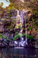 Tamarin Falls 6