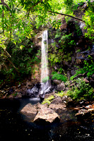 Tamarin Falls 1
